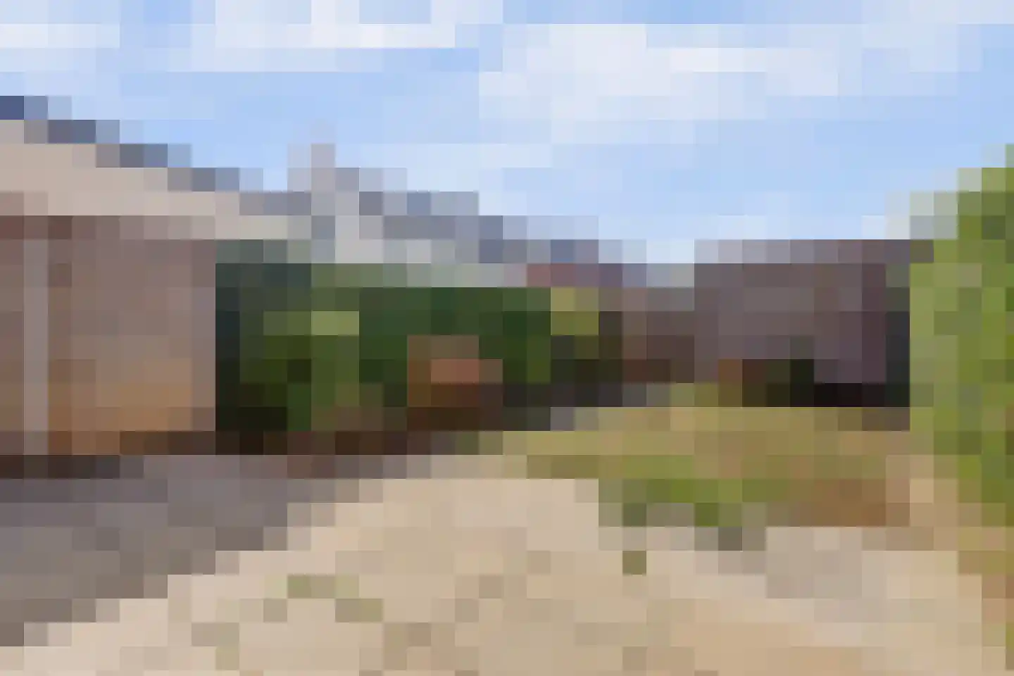 Silenus 37 Cuijk thumbnail 16