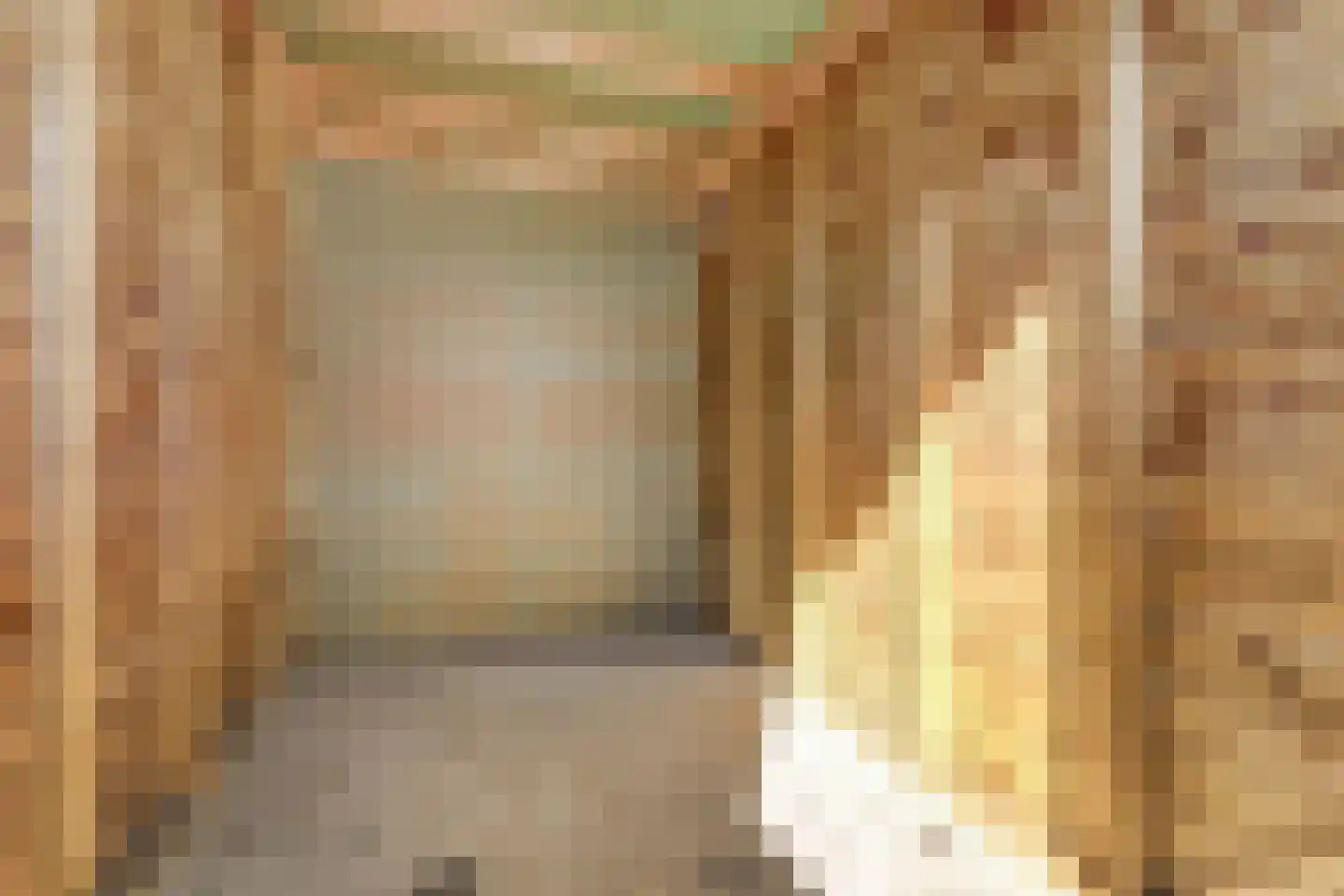 Silenus 37 Cuijk thumbnail 17