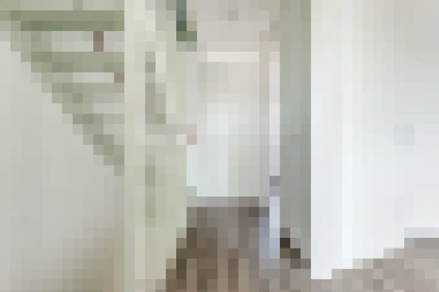 Silenus 37 Cuijk thumbnail 28