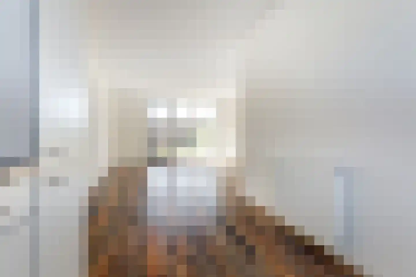 Silenus 37 Cuijk thumbnail 8