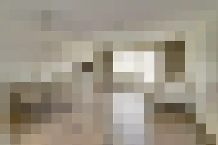 Silenus 56 Cuijk thumbnail 12