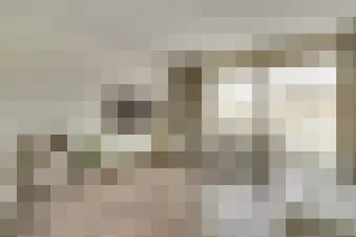 Silenus 56 Cuijk thumbnail 13
