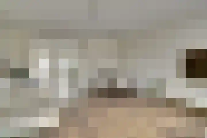 Silenus 56 Cuijk thumbnail 17