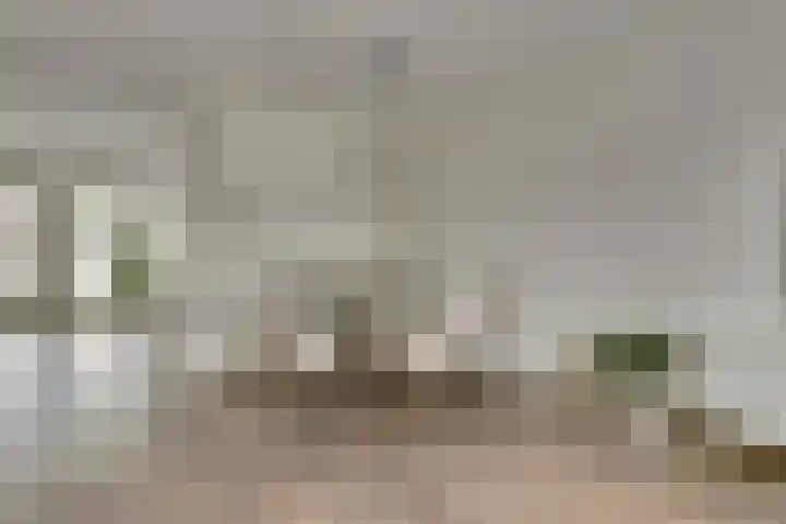 Silenus 56 Cuijk thumbnail 18