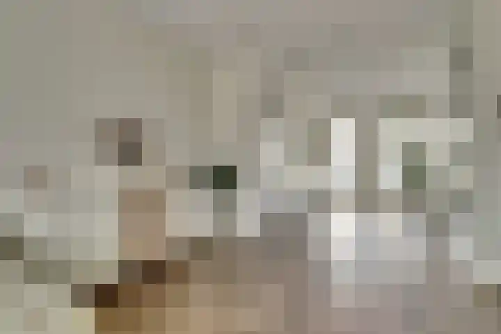 Silenus 56 Cuijk thumbnail 19