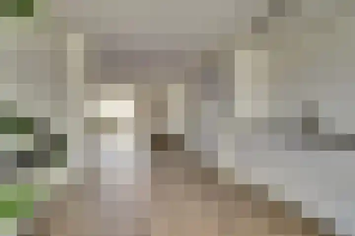 Silenus 56 Cuijk thumbnail 24