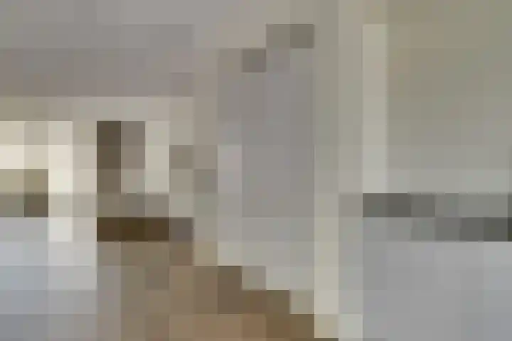 Silenus 56 Cuijk thumbnail 25