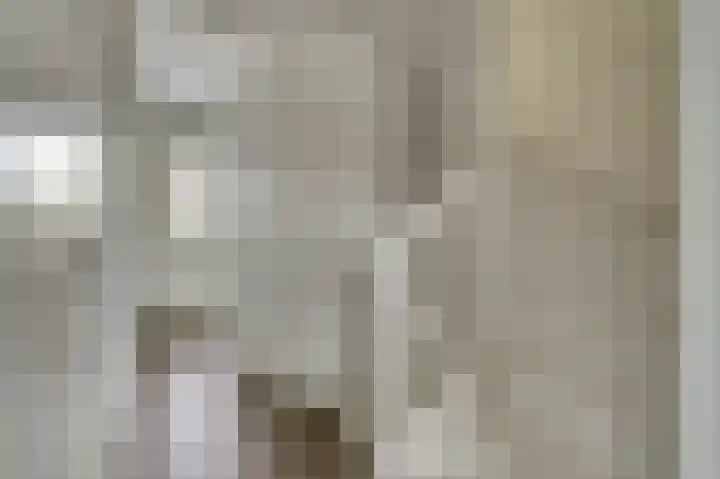 Silenus 56 Cuijk thumbnail 27