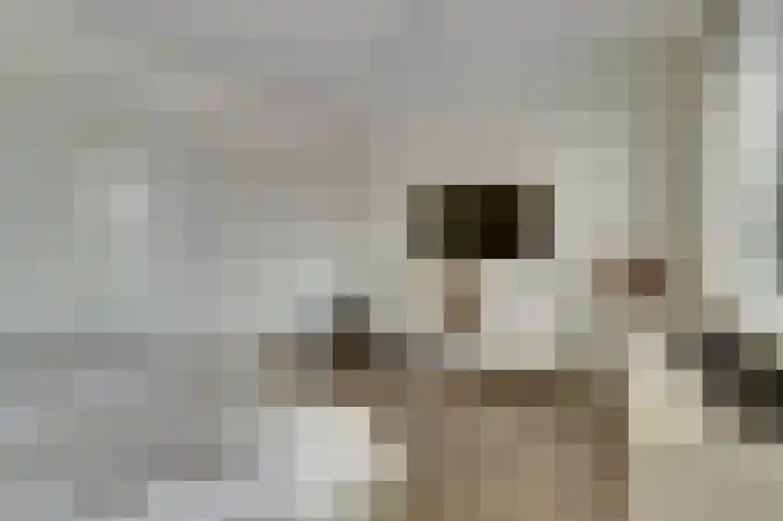 Silenus 56 Cuijk thumbnail 29