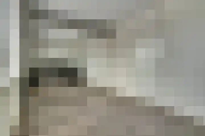 Silenus 56 Cuijk thumbnail 31