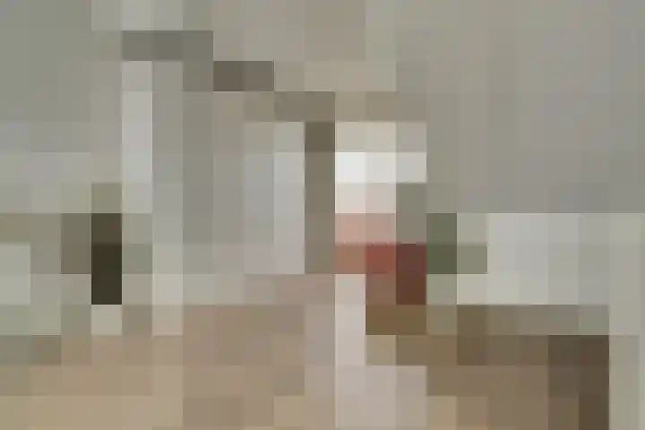 Silenus 56 Cuijk thumbnail 35