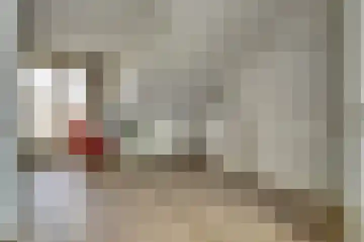 Silenus 56 Cuijk thumbnail 36