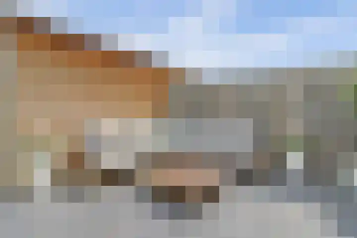Silenus 56 Cuijk thumbnail 39