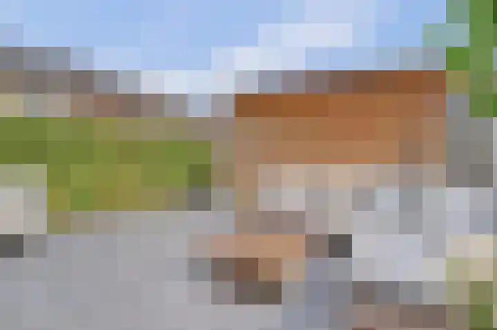Silenus 56 Cuijk thumbnail 40