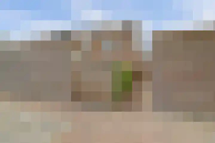 Silenus 56 Cuijk thumbnail 43