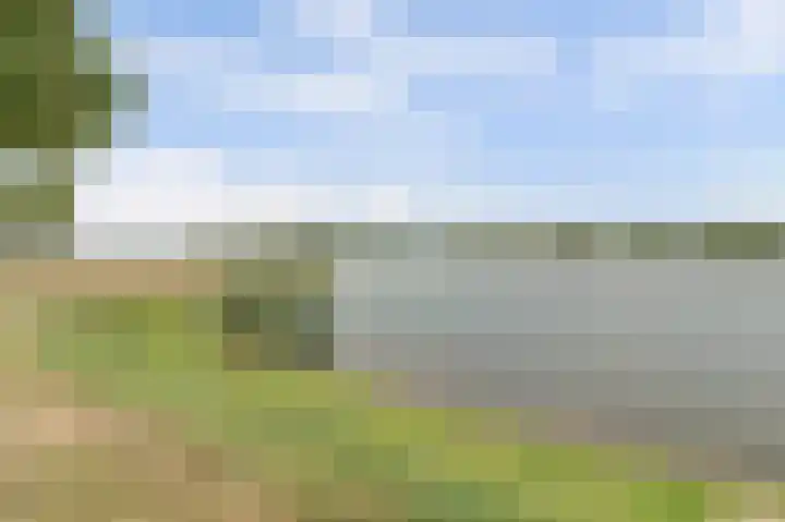 Silenus 56 Cuijk thumbnail 46