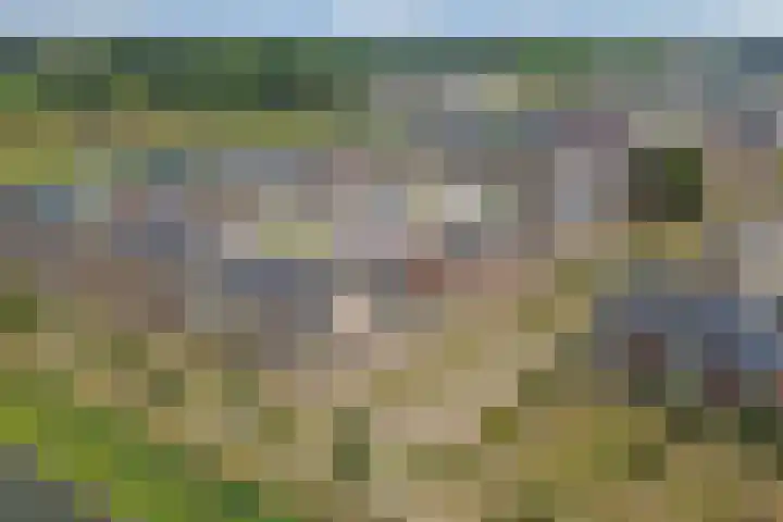 Silenus 56 Cuijk thumbnail 47