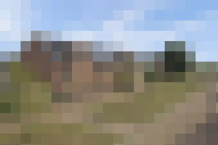 Silenus 56 Cuijk thumbnail 6