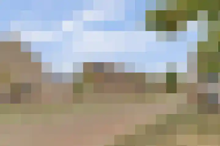 Silenus 56 Cuijk thumbnail 7