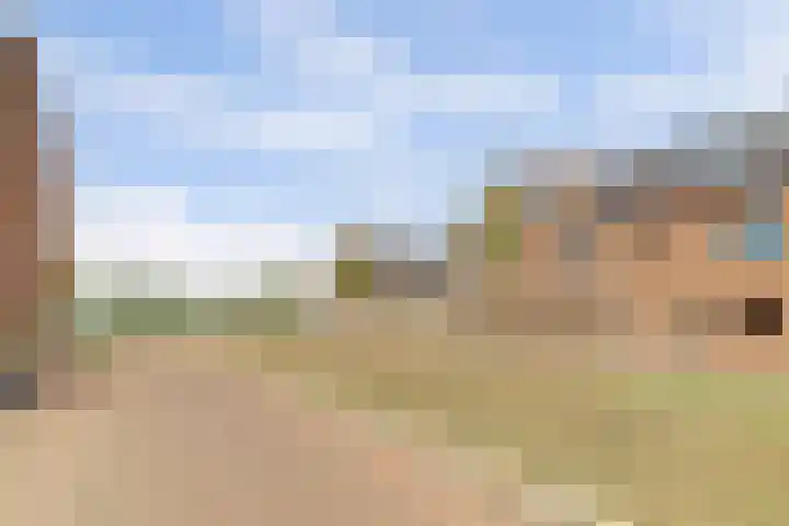 Silenus 56 Cuijk thumbnail 8