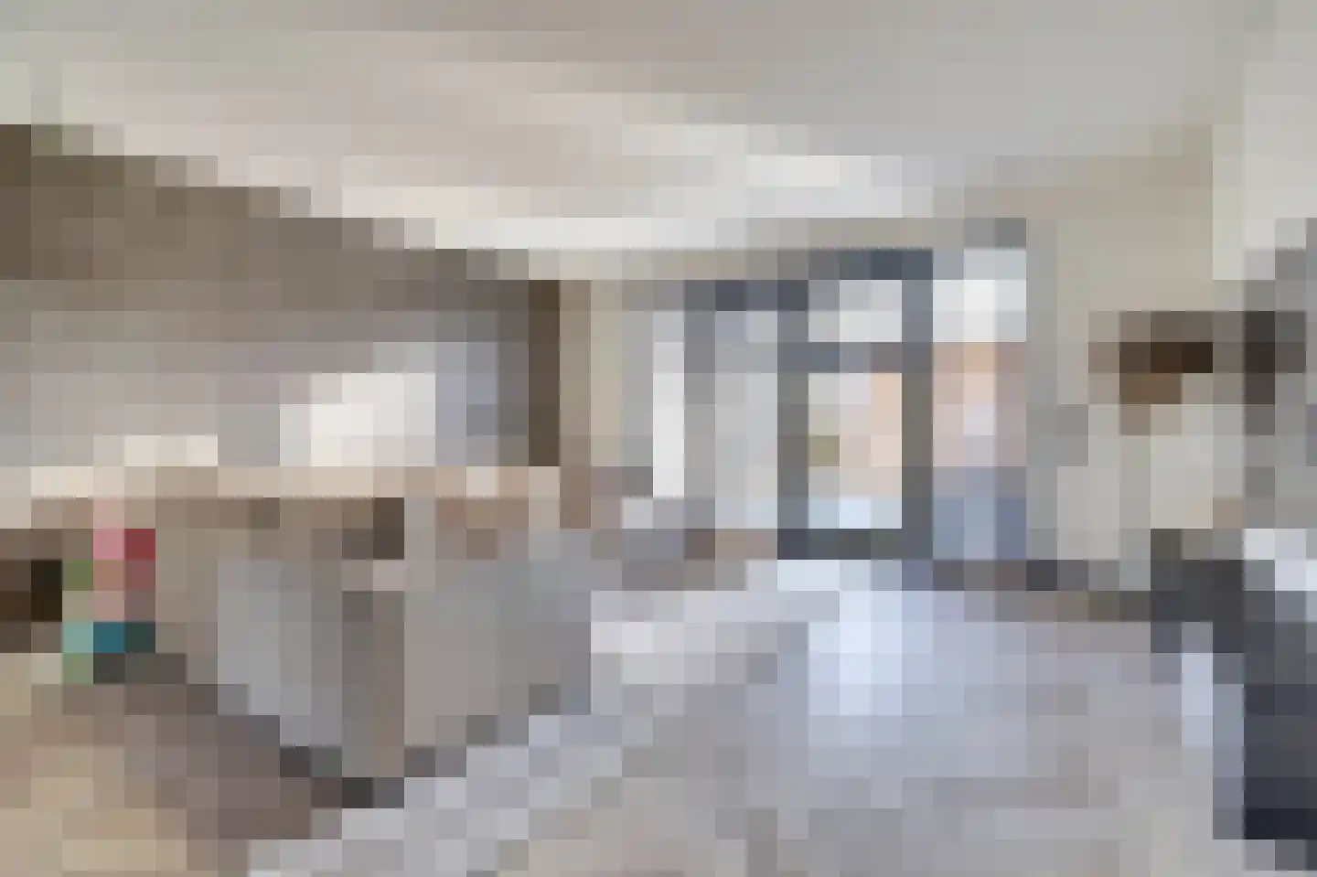 Silenus 72 Cuijk thumbnail 12