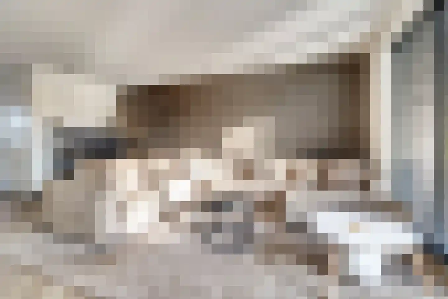 Silenus 72 Cuijk thumbnail 14