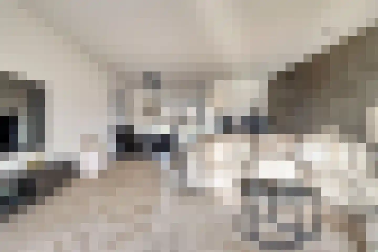 Silenus 72 Cuijk thumbnail 15