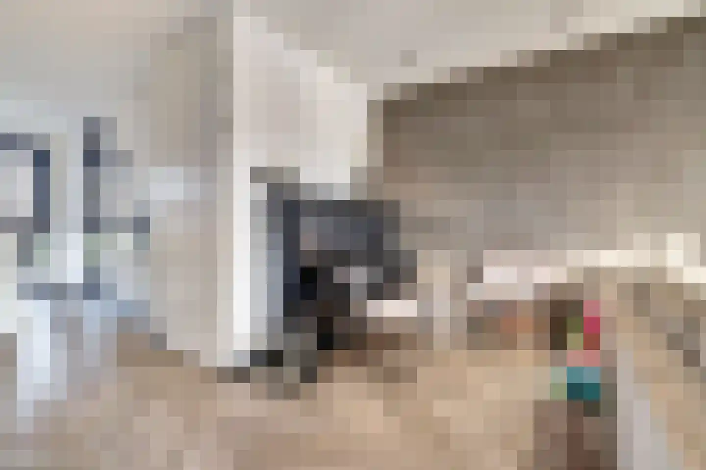 Silenus 72 Cuijk thumbnail 18