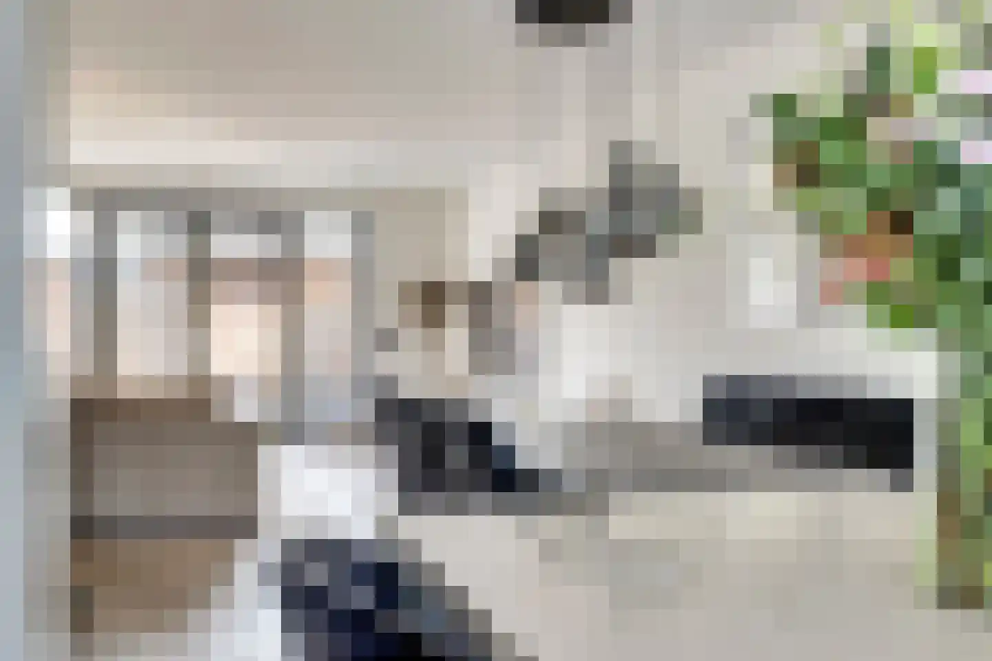Silenus 72 Cuijk thumbnail 20