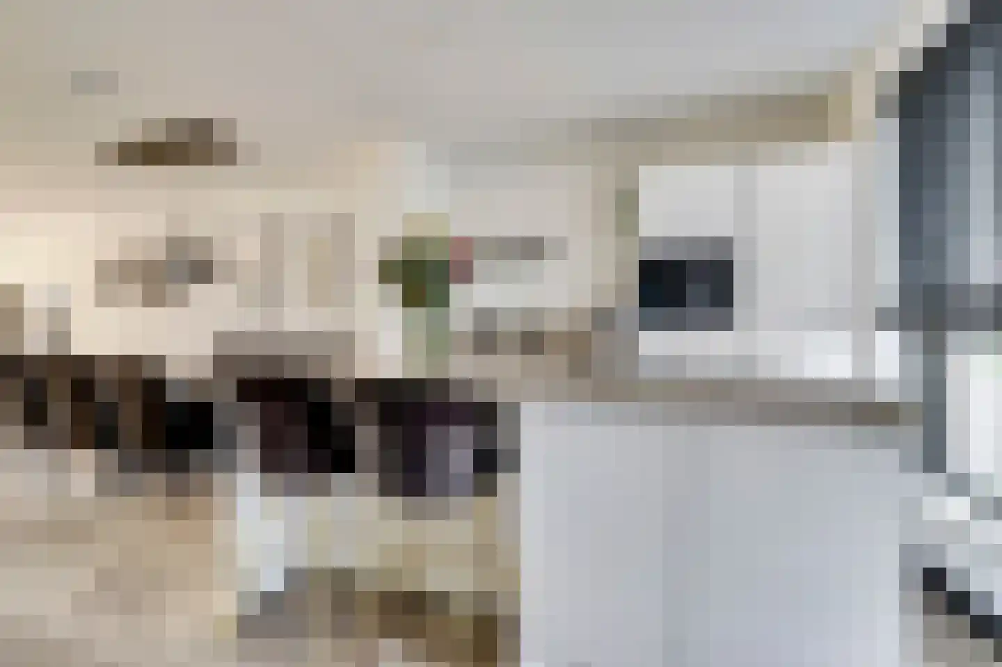 Silenus 72 Cuijk thumbnail 23