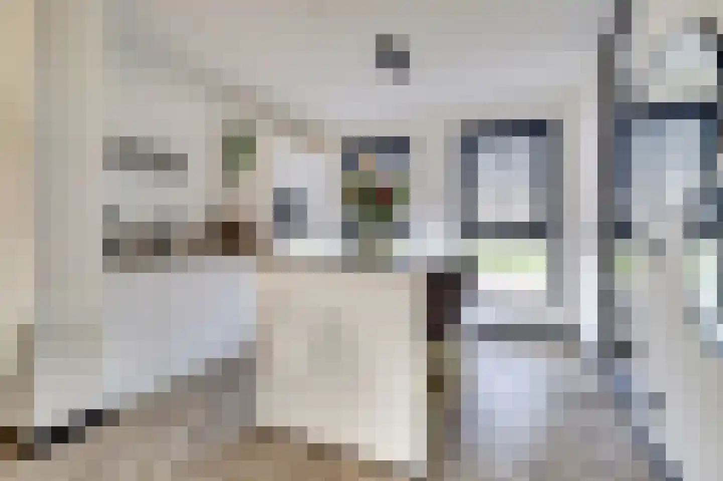 Silenus 72 Cuijk thumbnail 26