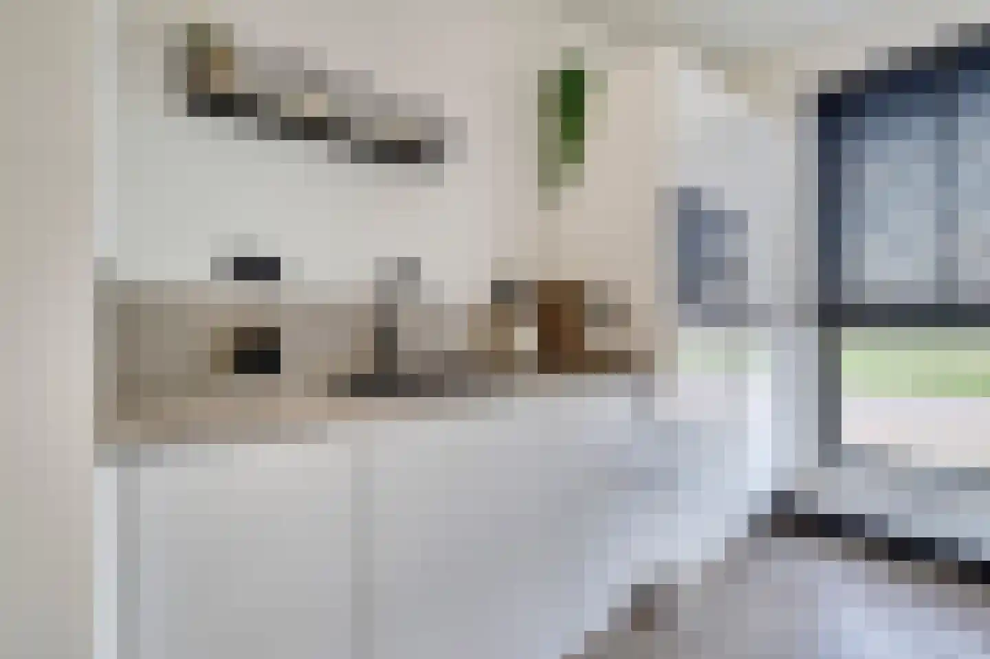 Silenus 72 Cuijk thumbnail 28