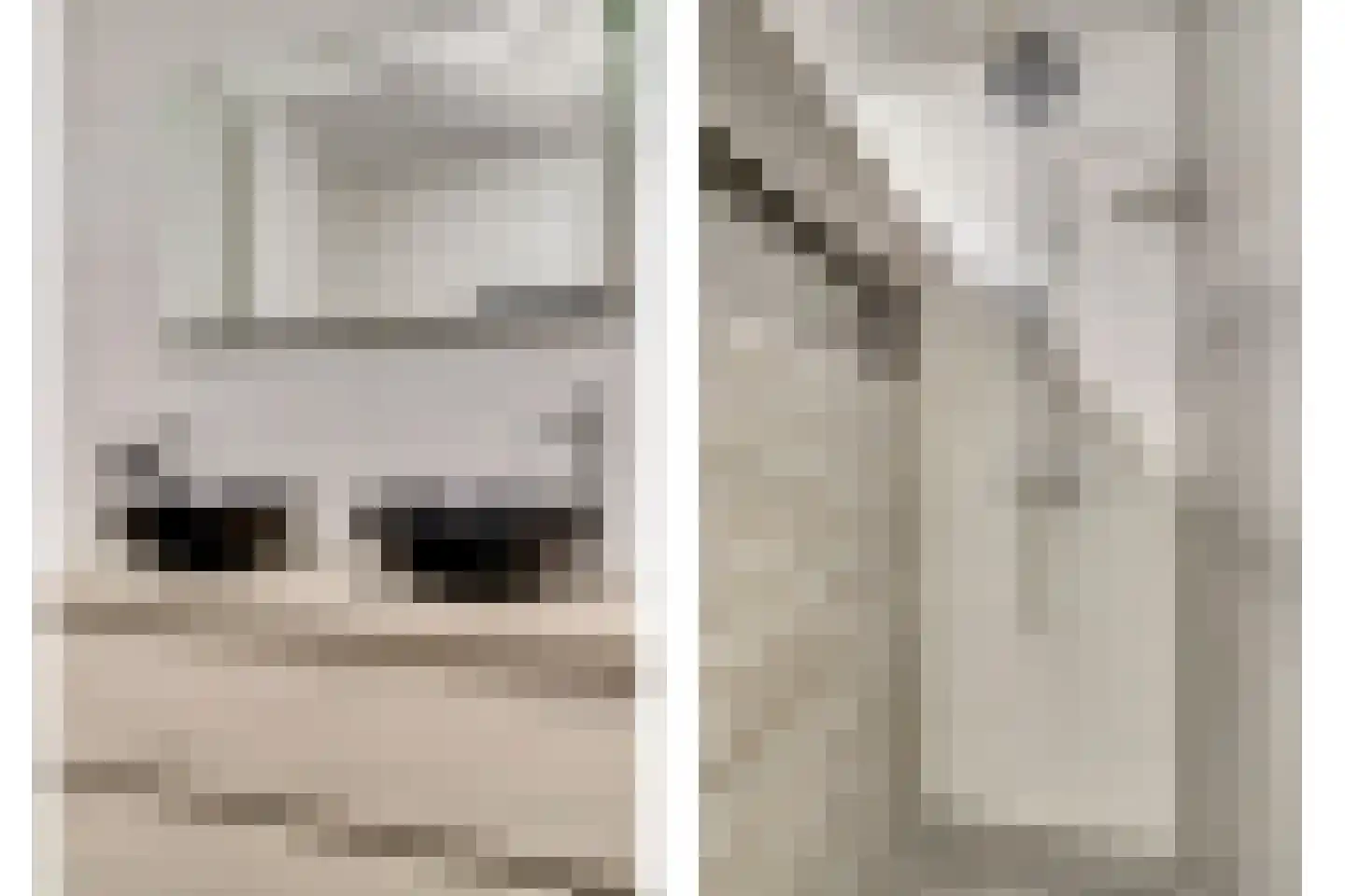 Silenus 72 Cuijk thumbnail 36
