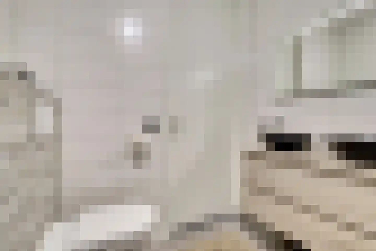 Silenus 72 Cuijk thumbnail 37