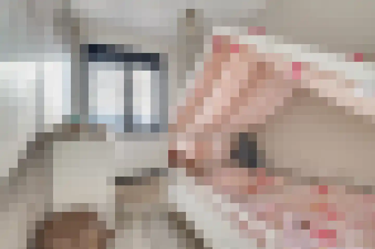 Silenus 72 Cuijk thumbnail 38