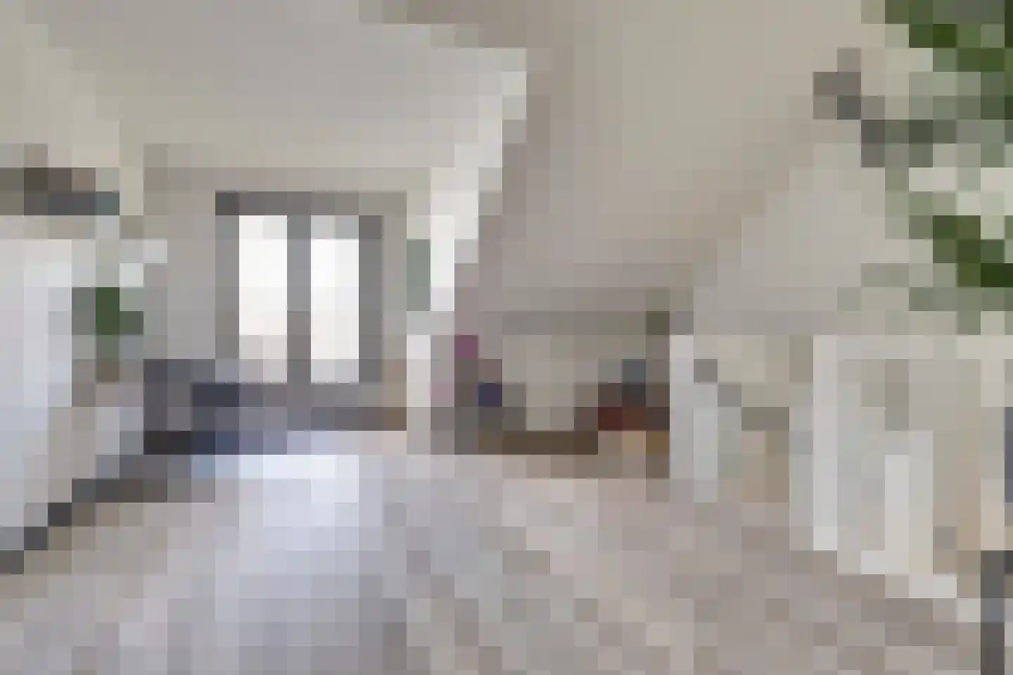 Silenus 72 Cuijk thumbnail 42