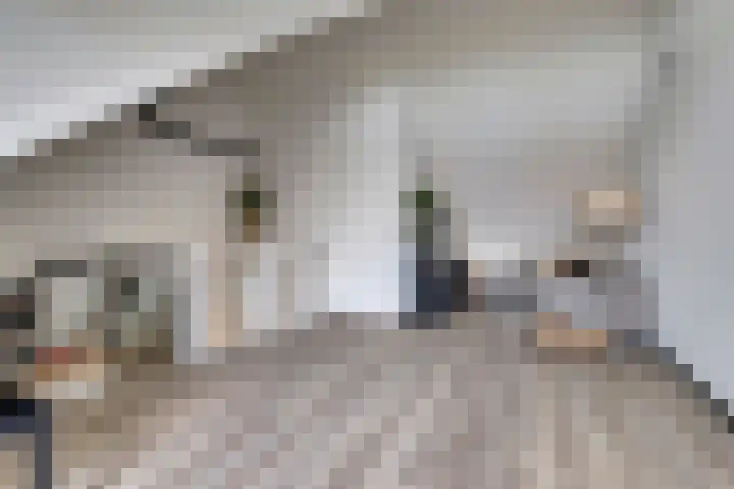 Silenus 72 Cuijk thumbnail 44
