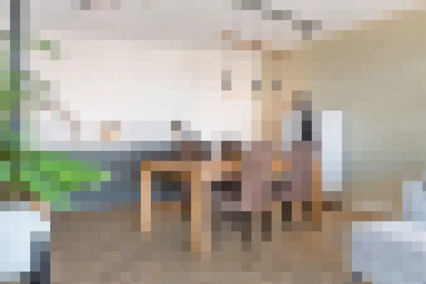 Silenus 83 Cuijk thumbnail 10