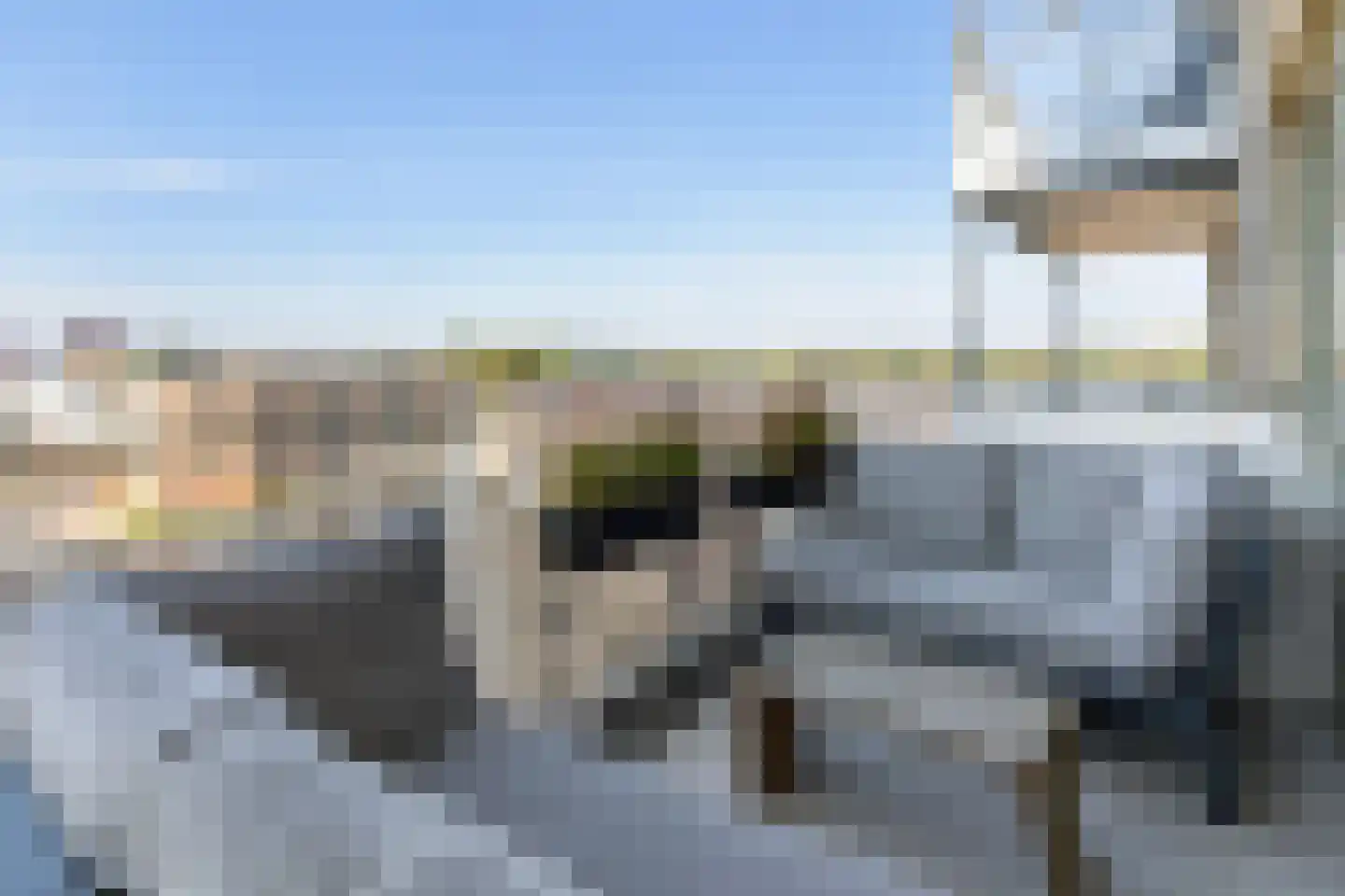 Silenus 83 Cuijk thumbnail 22