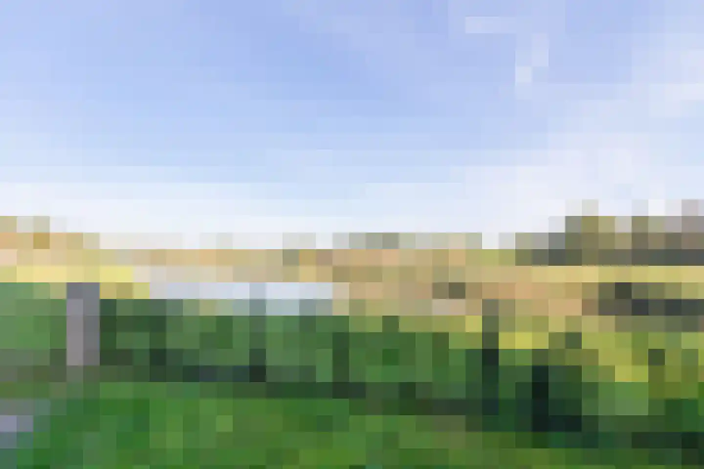 Silenus 83 Cuijk thumbnail 26