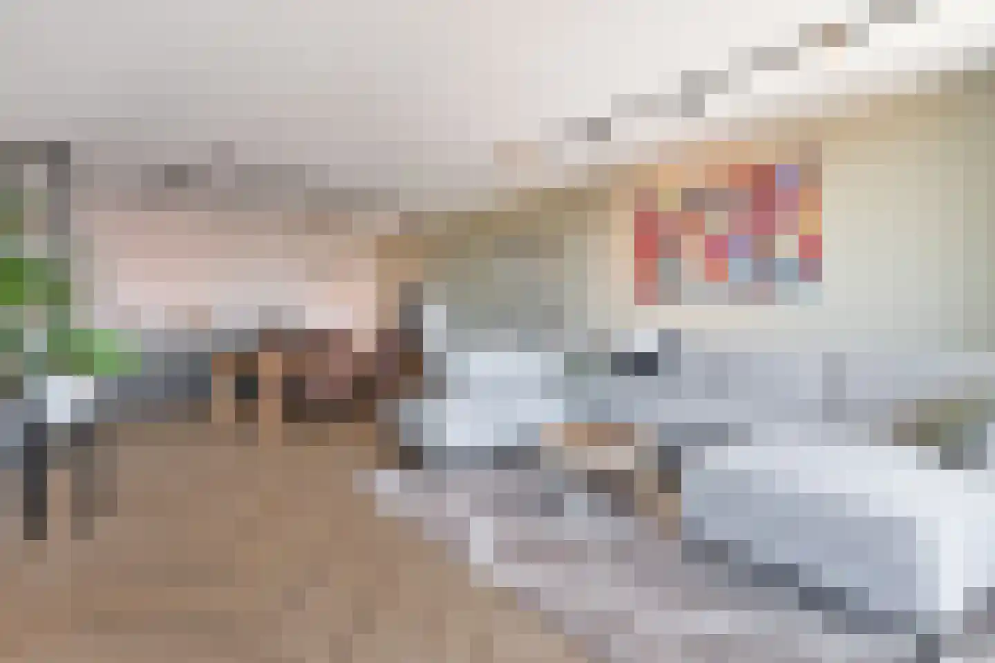 Silenus 83 Cuijk thumbnail 8