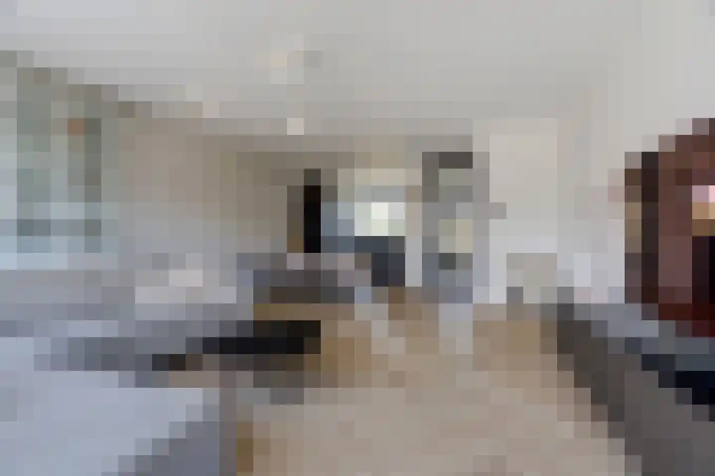 Silenus 88 Cuijk thumbnail 13