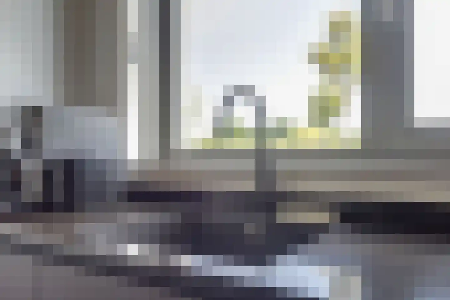 Silenus 88 Cuijk thumbnail 17