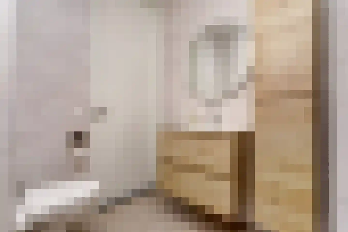 Silenus 88 Cuijk thumbnail 27