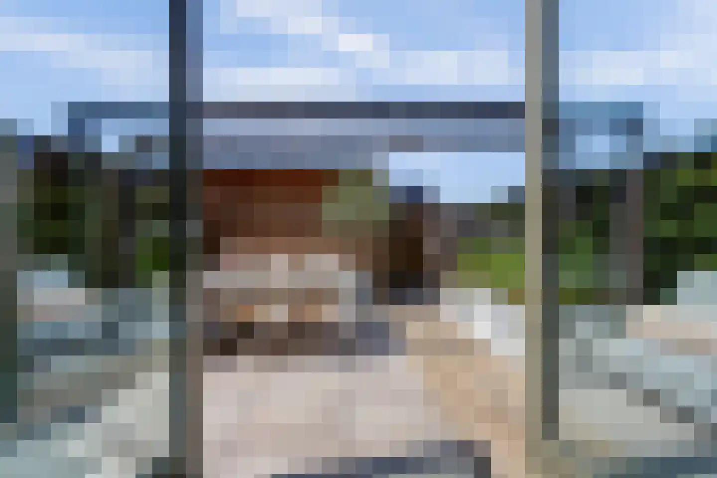 Silenus 88 Cuijk thumbnail 32