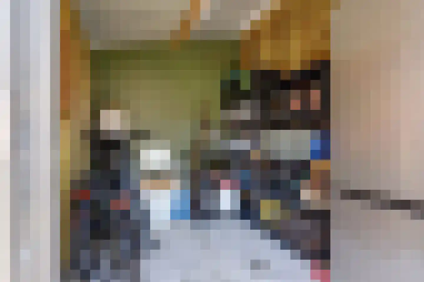 Silenus 88 Cuijk thumbnail 37