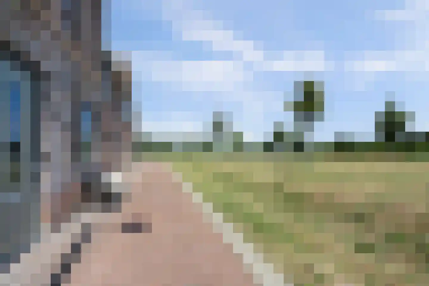 Silenus 88 Cuijk thumbnail 6