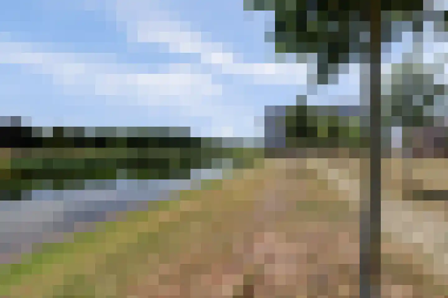 Silenus 88 Cuijk thumbnail 8