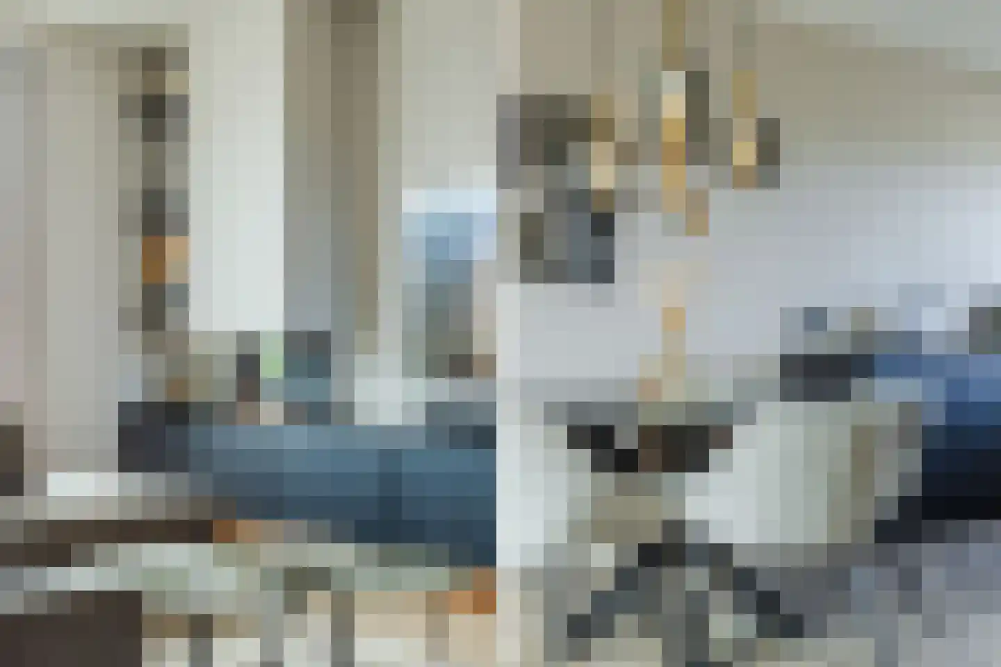 Silenus 92 Cuijk thumbnail 10