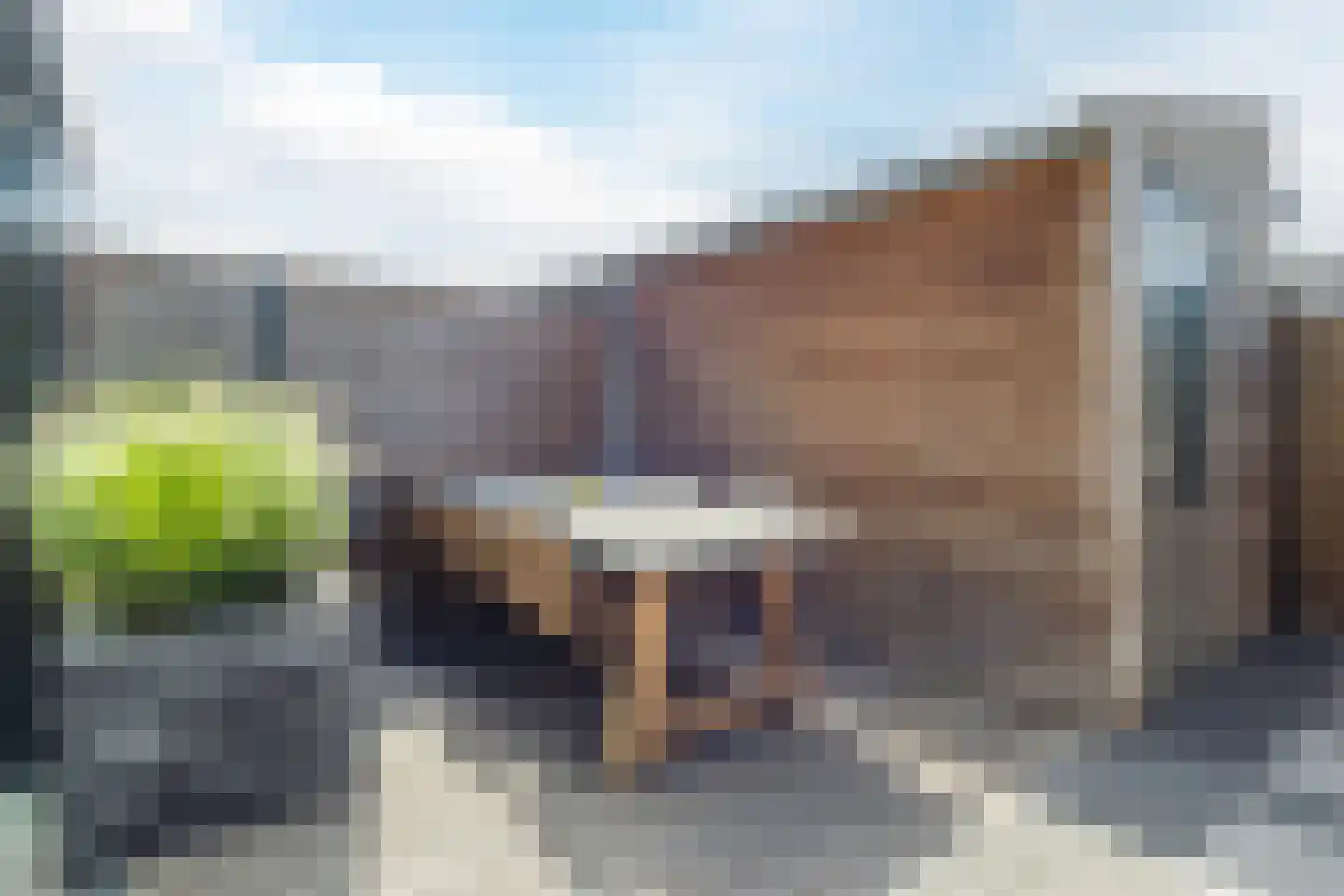 Silenus 92 Cuijk thumbnail 28